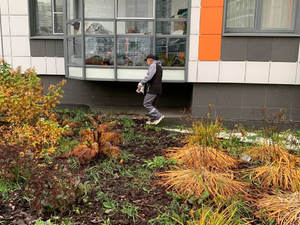 дератиз 27.10-2.jpg